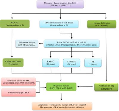 Identification of Diagnostic Signatures and Immune Cell Infiltration Characteristics in Rheumatoid Arthritis by Integrating Bioinformatic Analysis and Machine-Learning Strategies